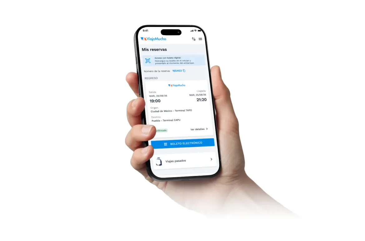 Celular com boleto de ônibus
