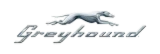 Greyhound