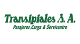 Transipiales