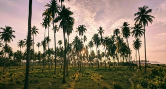 Petatlán, Guerrero