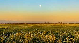 Merced, CA