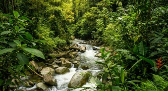 Cali, Valle del Cauca