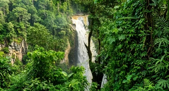 Santa Rosa Del Sur, Bolívar
