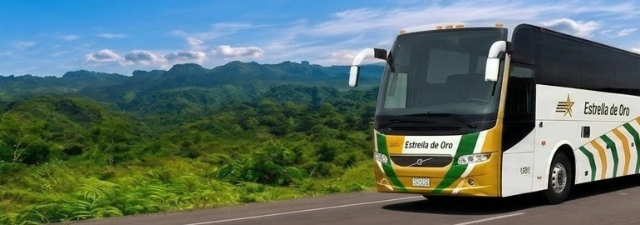 Estrella de Oro Primera