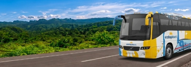 Eco Baja Tours