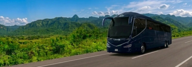 Autobuses Dolphins