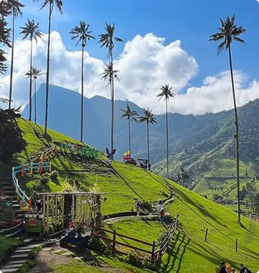 Pereira Pereira