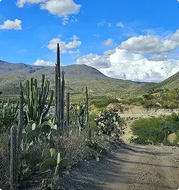 Tehuacán Tehuacán